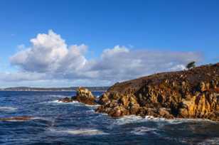 Point Lobos-1821.jpg Point Lobos-1821.jpg